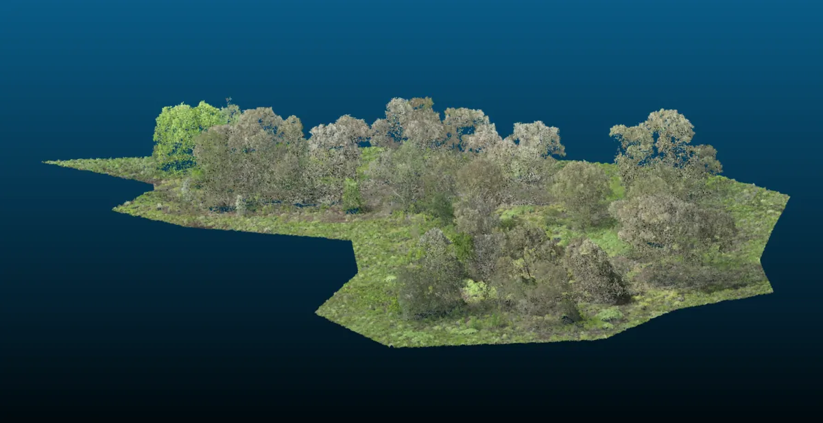 RGB Colorized Point Cloud